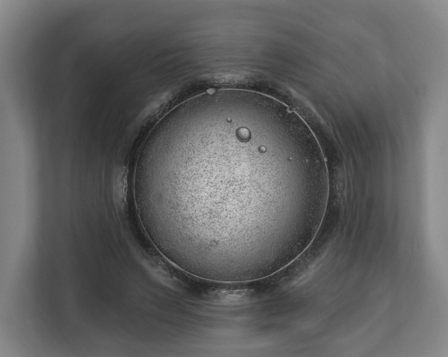 X0000112740495200908271524