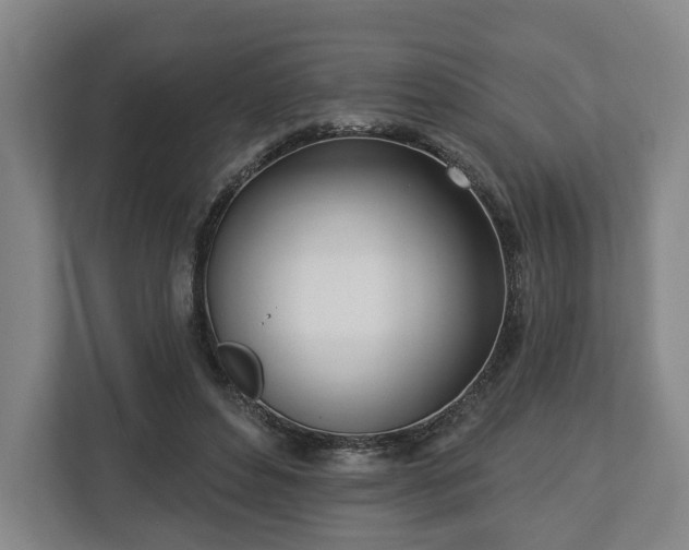 X0000112740496200908271524