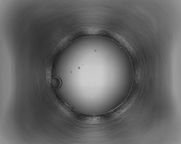 X0000112740497200908271524