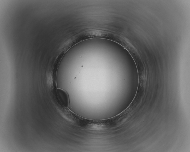 X0000112740500200908271524