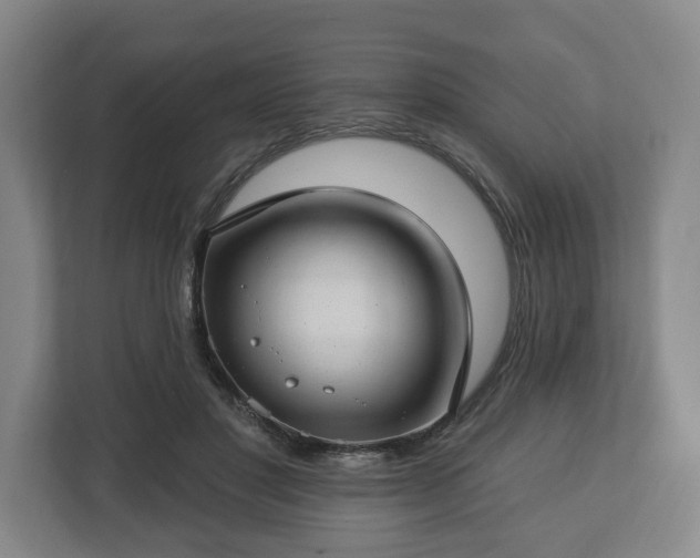 X0000112740501200908271524