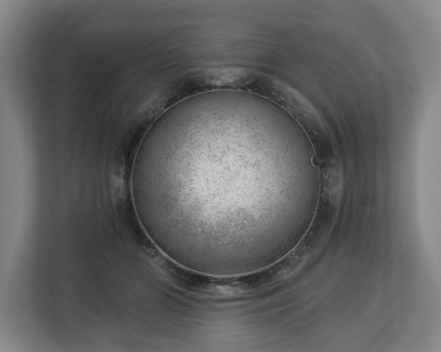 X0000112740510200908271524