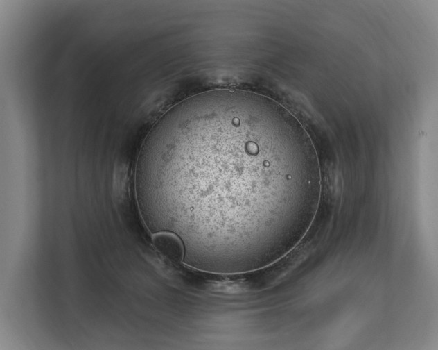 X0000112740511200908271524