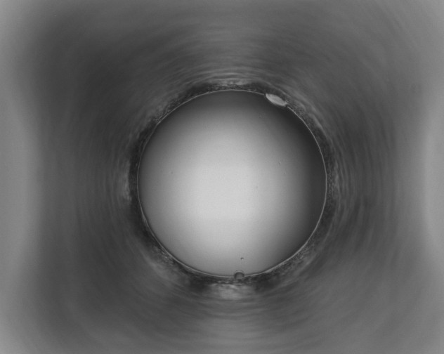 X0000112740512200908271524