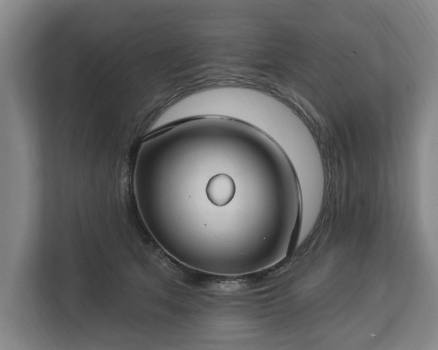 X0000112740513200908271524