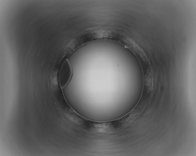 X0000112740516200908271524