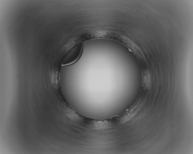 X0000112740525200908271524