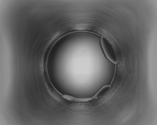 X0000112740530200908271523