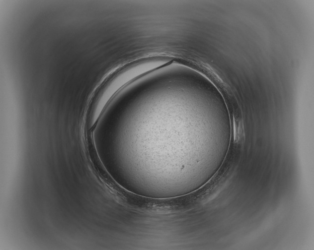 X0000112740531200908271523