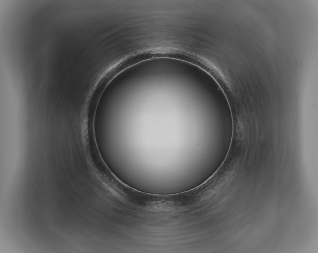 X0000112740535200908271523