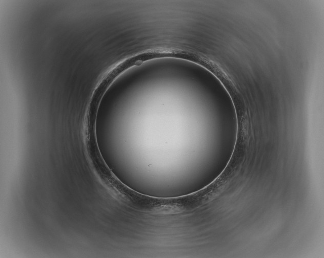 X0000112740536200908271523