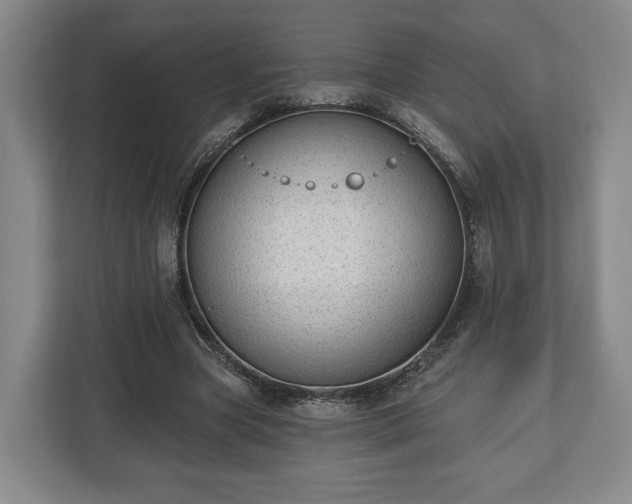 X0000112740537200908271523