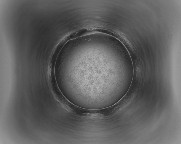 X0000112740539200908271523