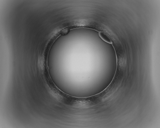 X0000112740540200908271523