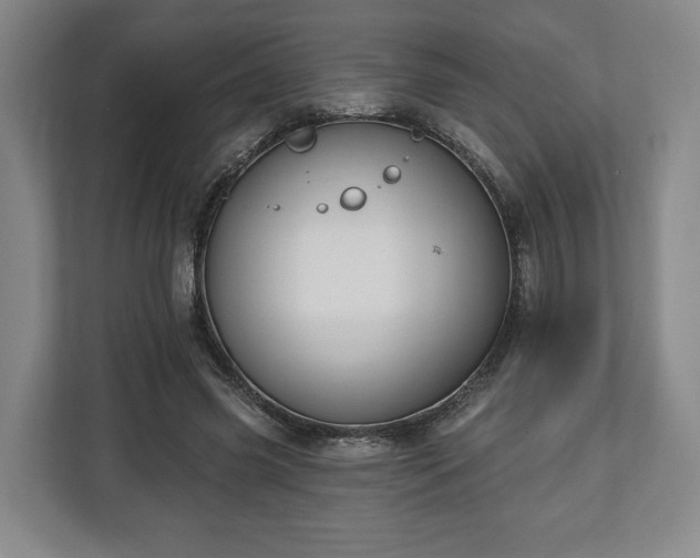 X0000112740541200908271523