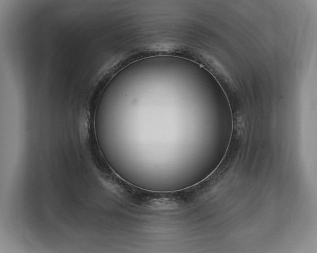 X0000112740544200908271523