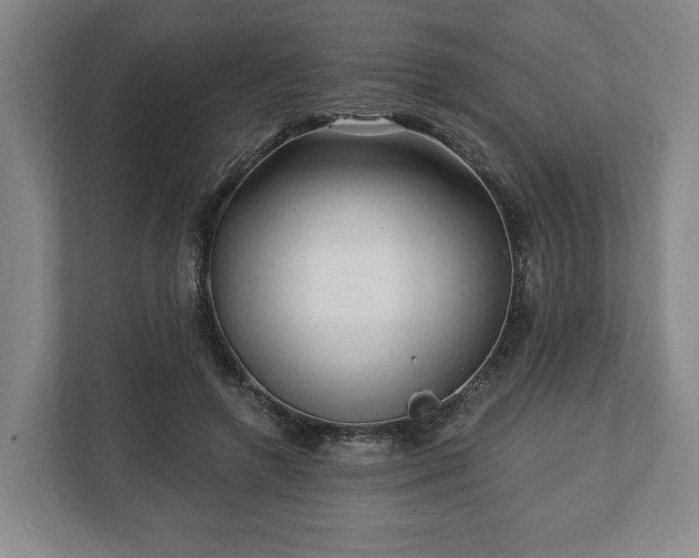 X0000112740546200908271523