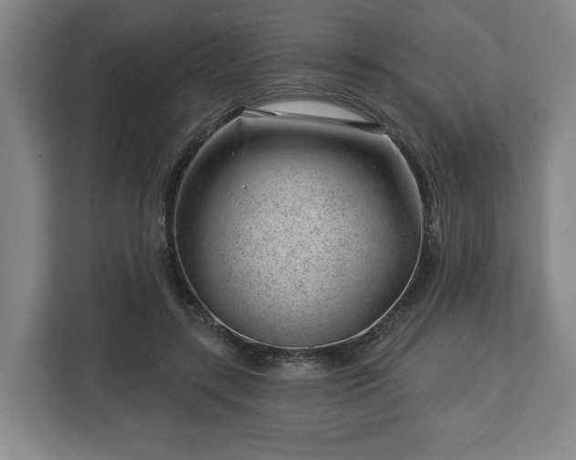 X0000112740547200908271523