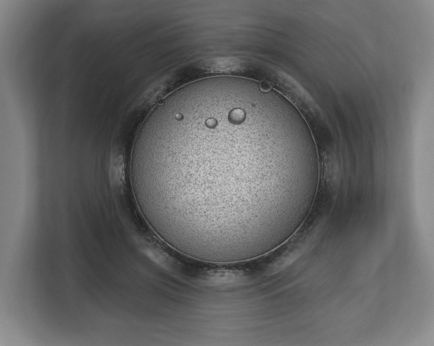 X0000112740549200908271524