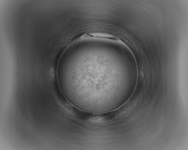 X0000112740551200908271524