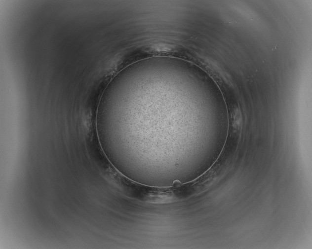 X0000112740559200908271524