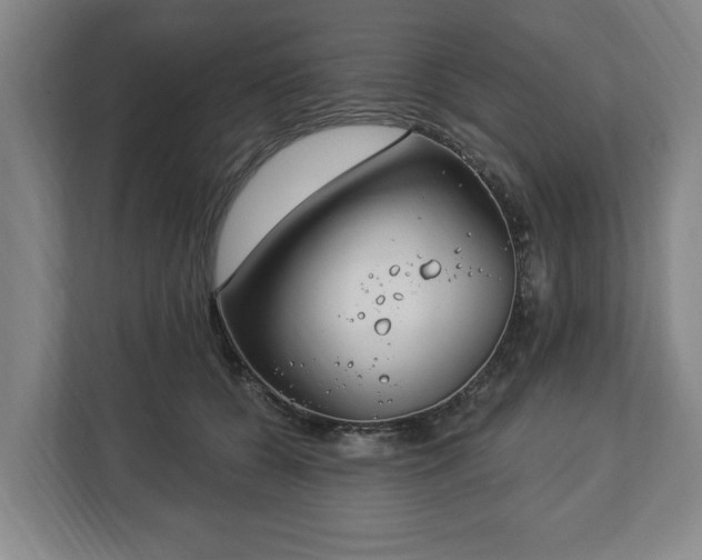 X0000112740560200908271524