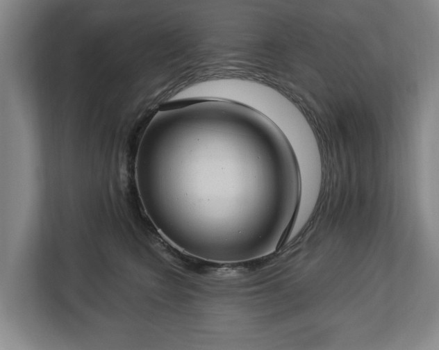 X0000112740566200908271524