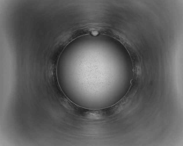 X0000112740567200908271524