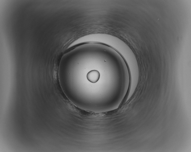 X0000112740576200908271524