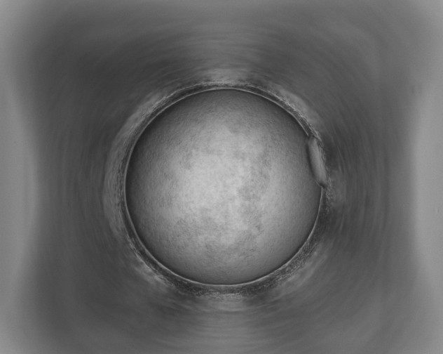 X0000112740577200908271523