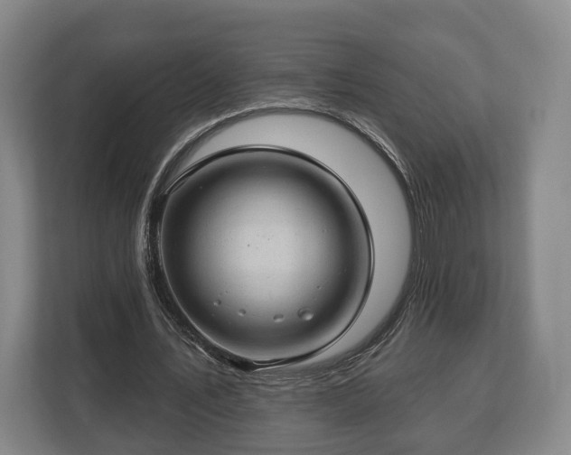 X0000112740579200908271523