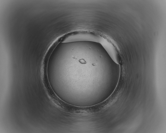 X0000112740580200908271523