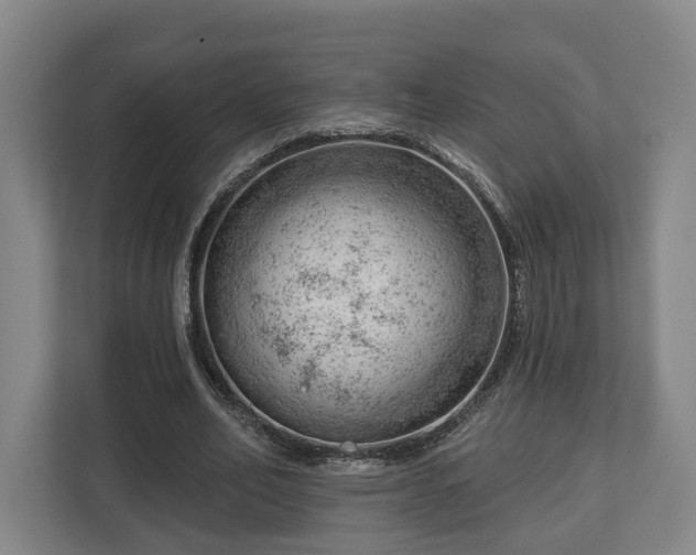 X0000112740582200908271523