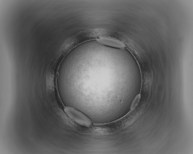 X0000112740585200908271523