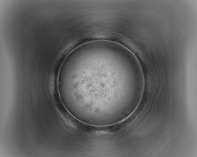 X0000112740586200908271523