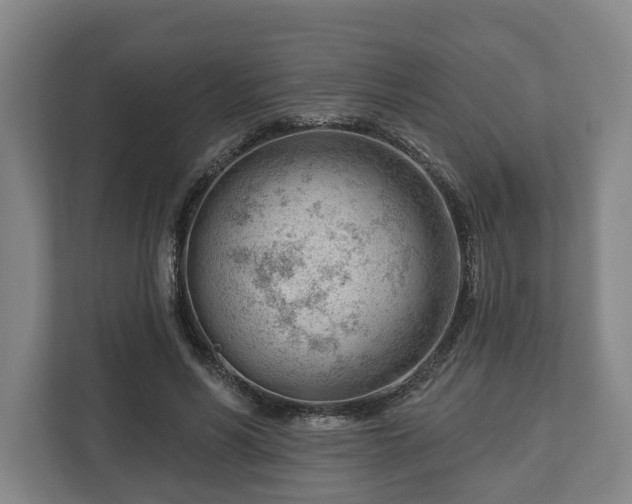 X0000112740590200908271523