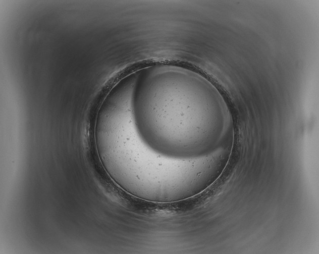 X0000112740592200908271523