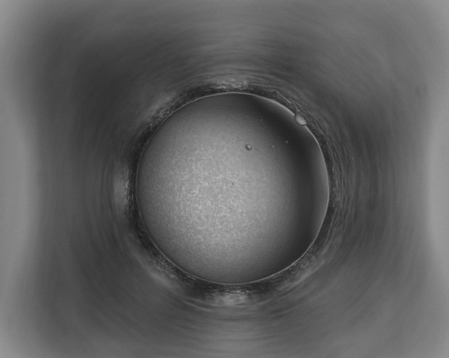 X0000112740600200908271523