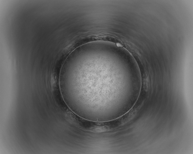 X0000112740608200908271523