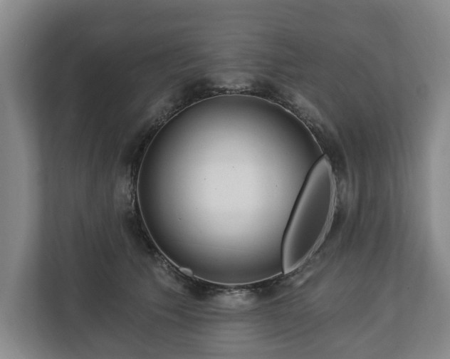 X0000112740609200908271523