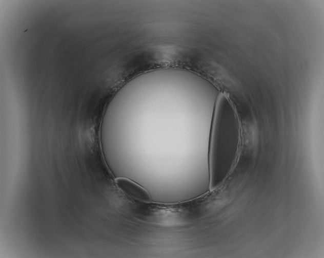 X0000112740611200908271523