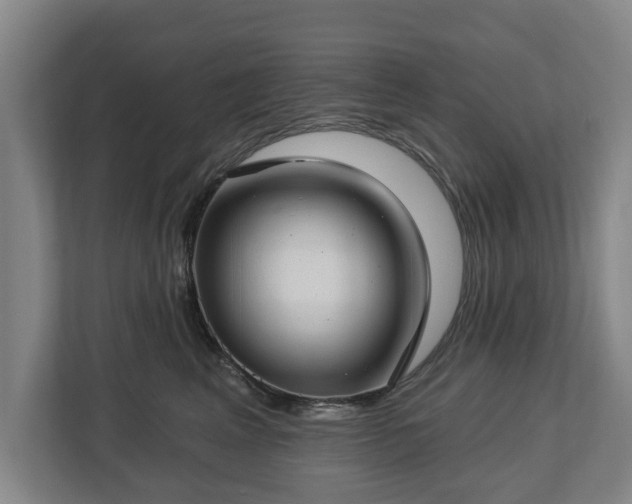 X0000112740617200908271523