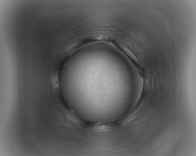 X0000112740620200908271523