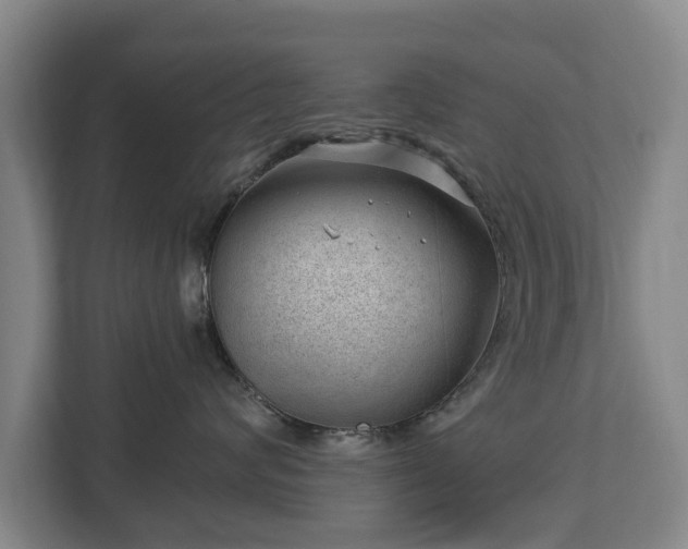 X0000112740624200908271523