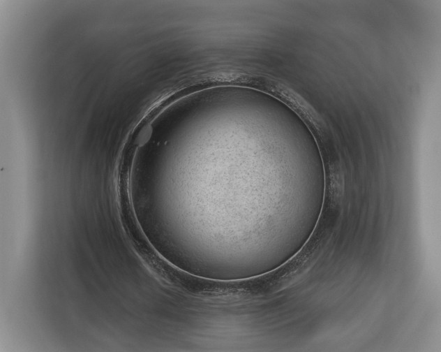 X0000112740626200908271522