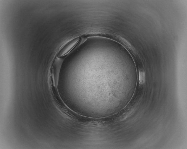 X0000112740627200908271522