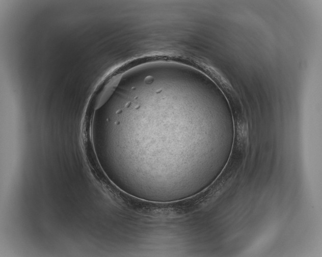 X0000112740628200908271522