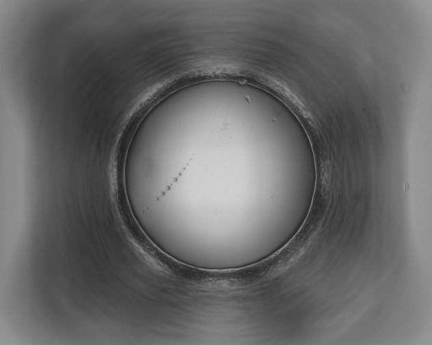 X0000112740629200908271522