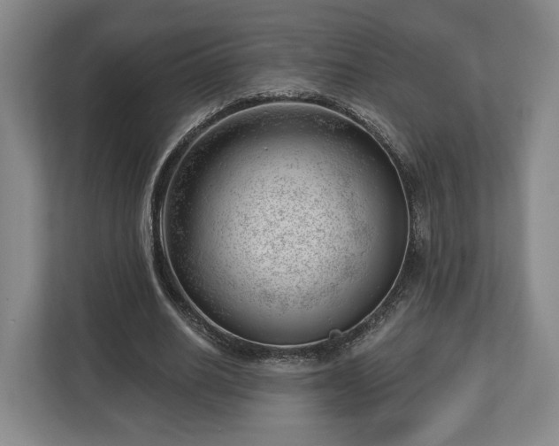 X0000112740630200908271522