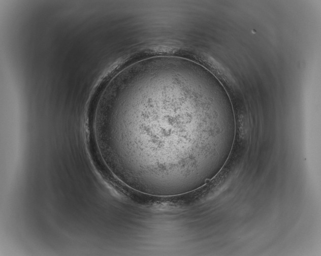 X0000112740634200908271522